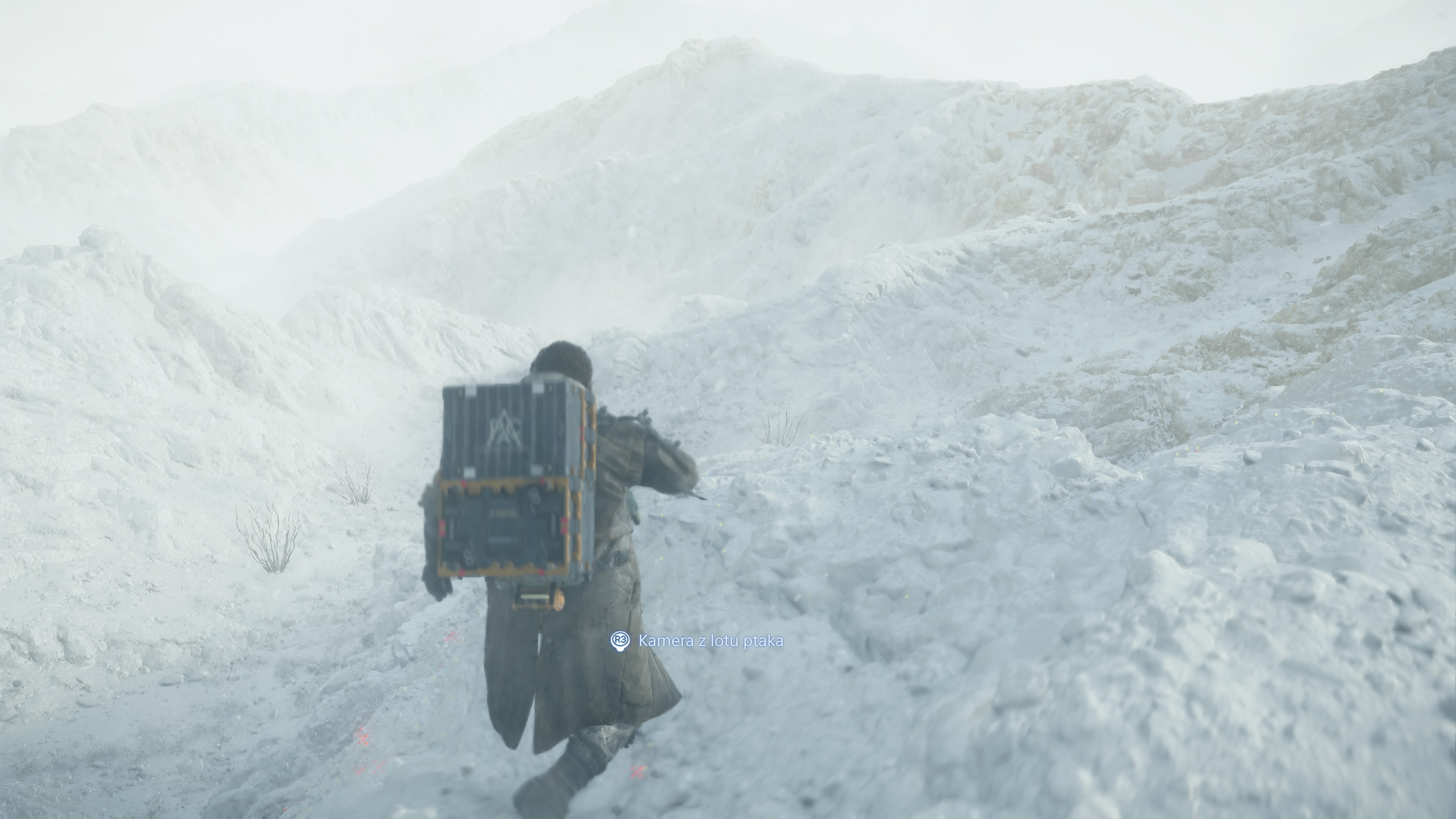 Death Stranding 2 - Zlecenie 49: Epilog, koniec gry, Schron Sama, stan Tomorrow i Fragile, prawda, Neil i Lucy