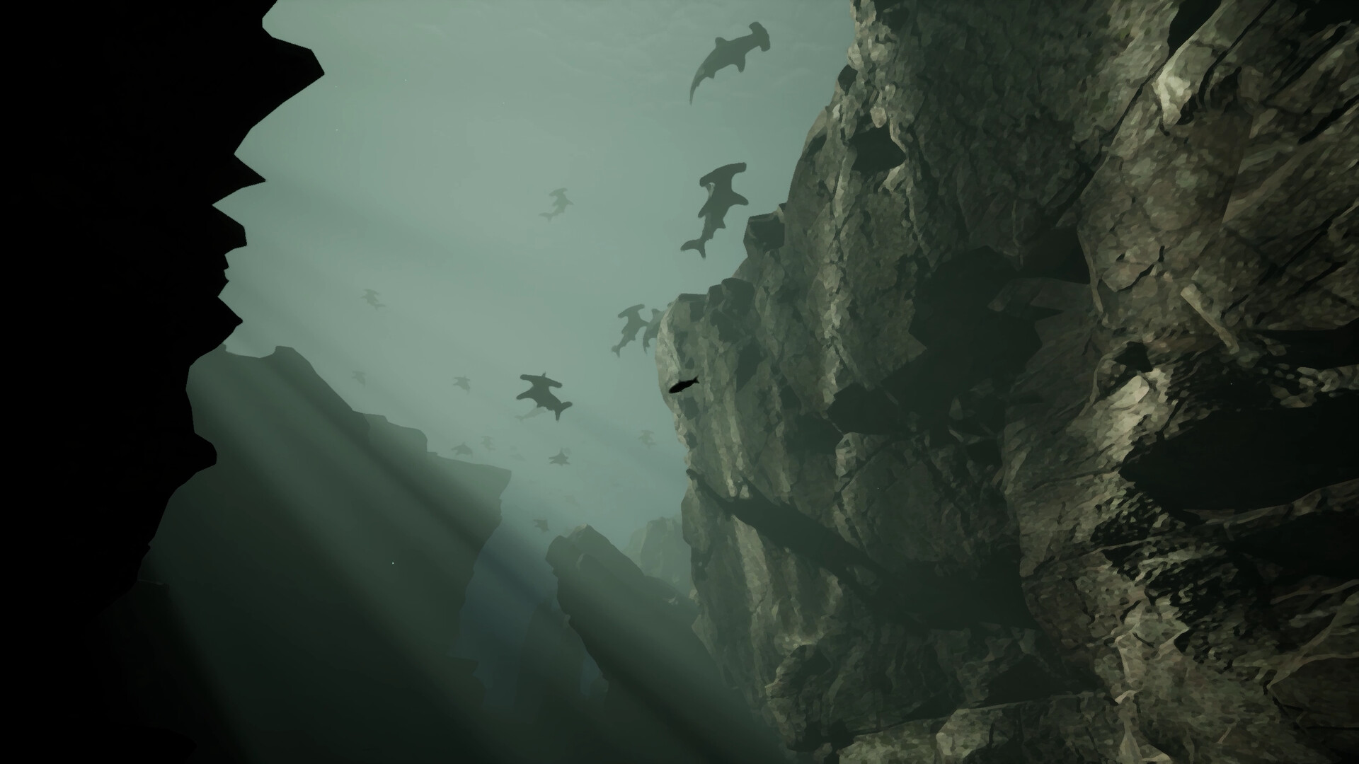 Whale Fall #1