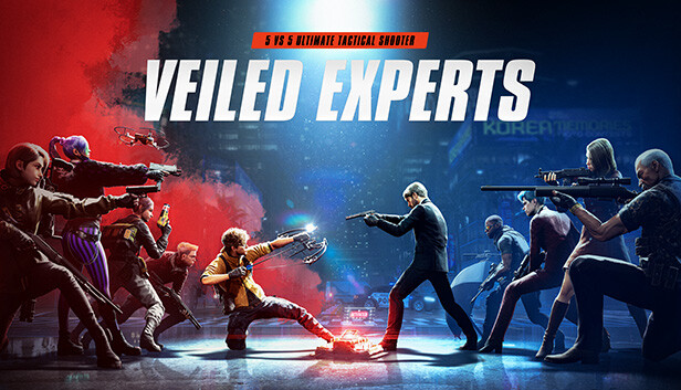VEILED EXPERTS