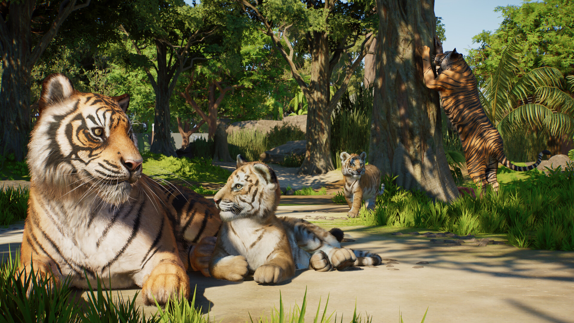 Planet Zoo 2 #8