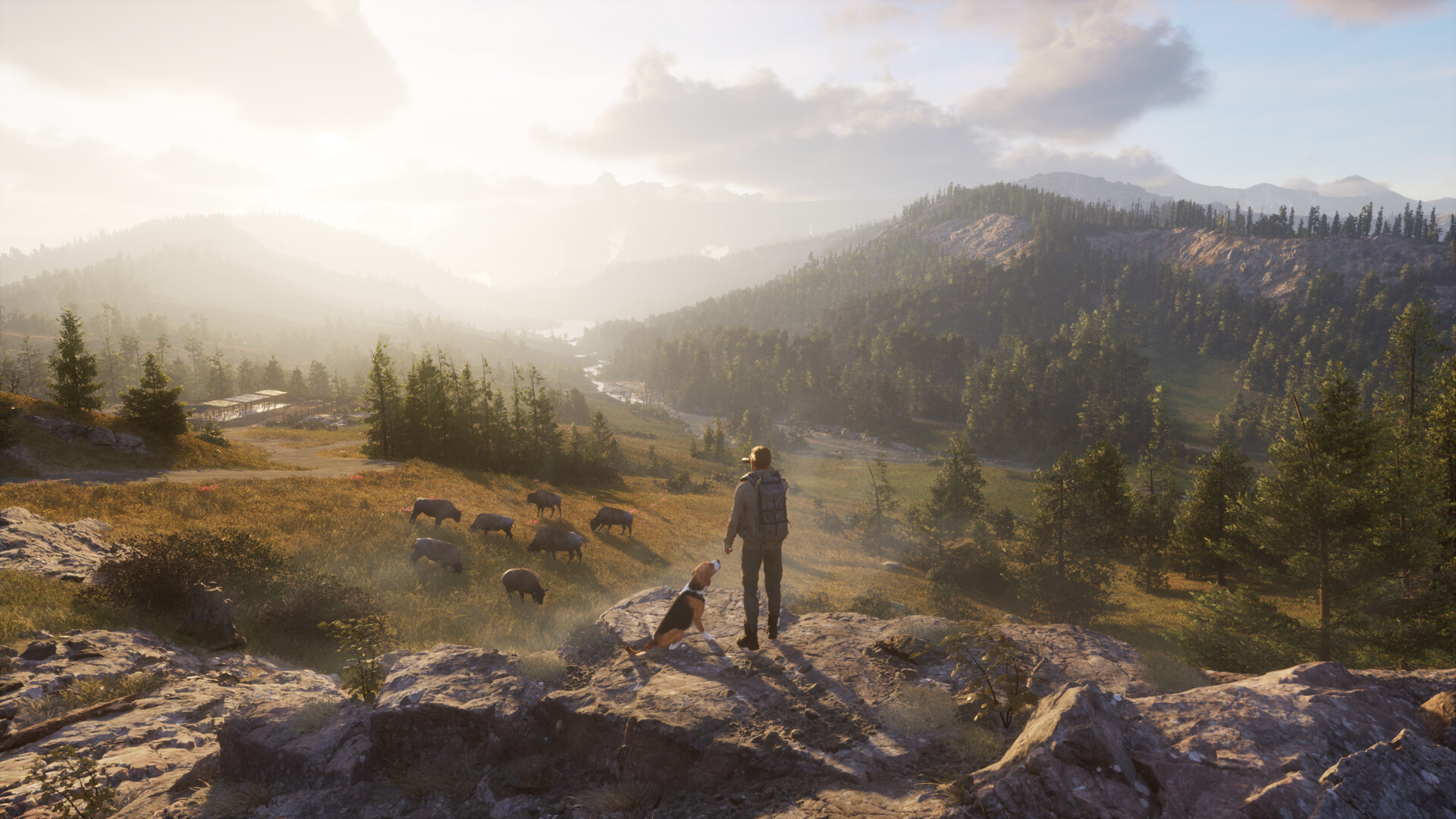 Next Hunting Adventure #2