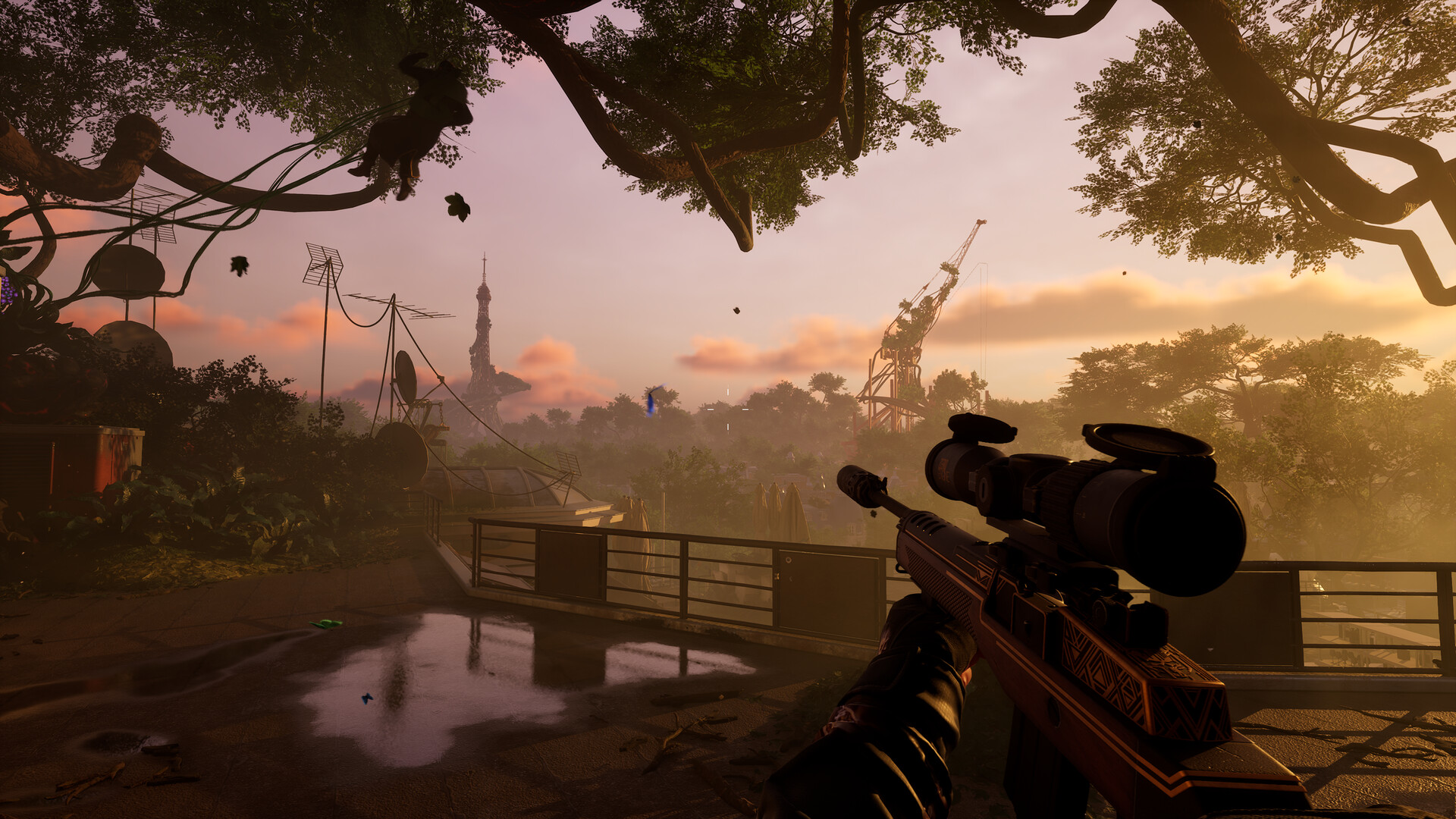 Forest Reigns #2