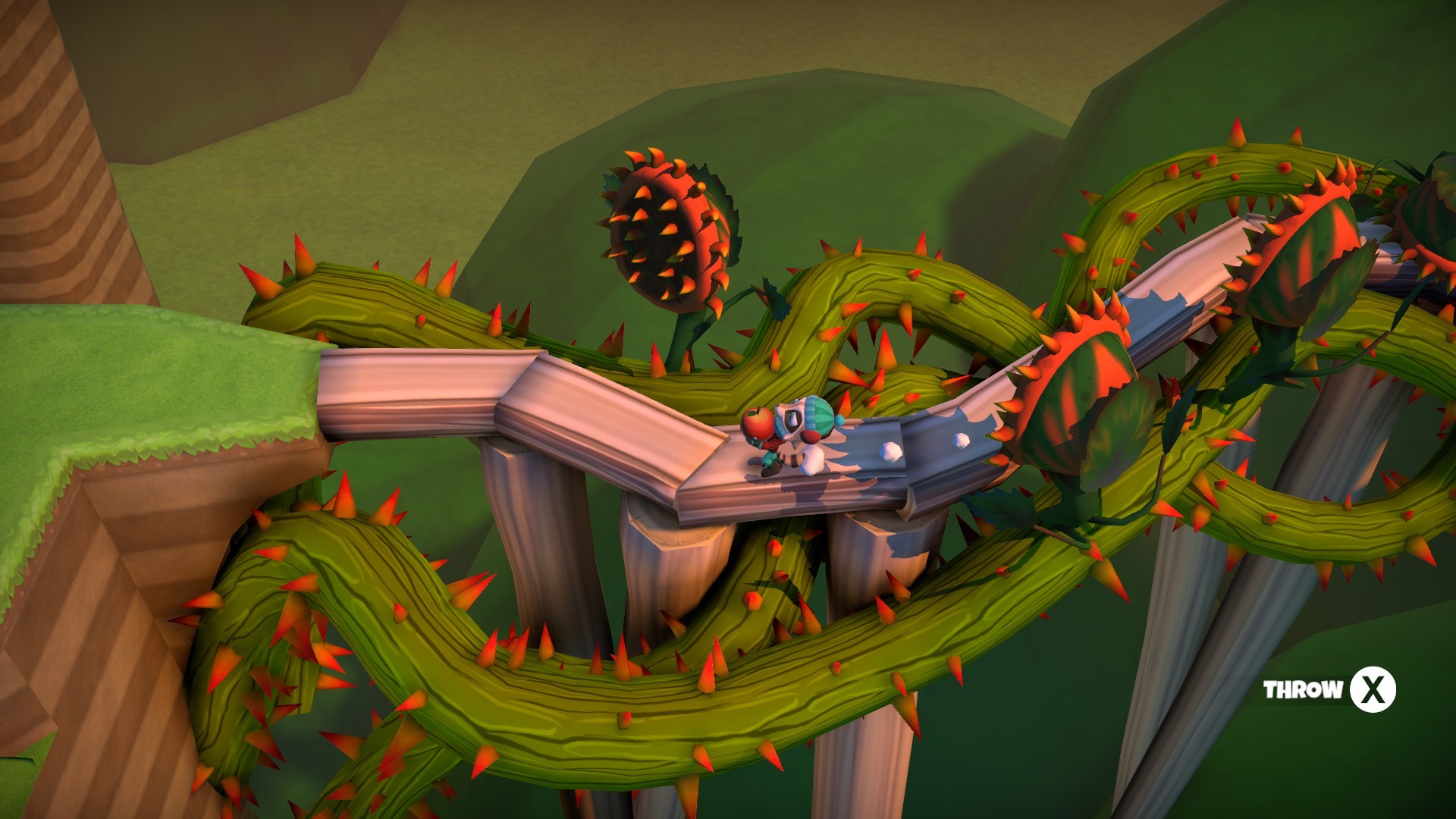 Raccoo Venture #13