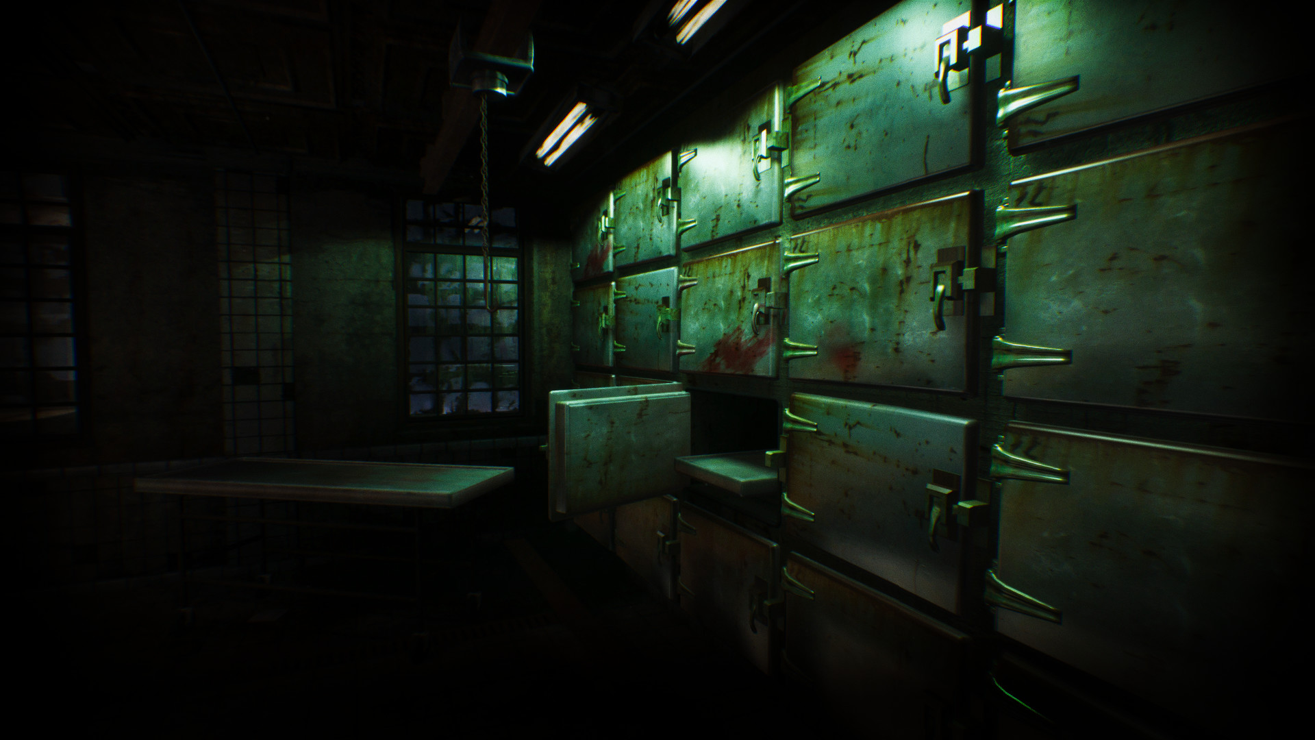 ASYLUM #8