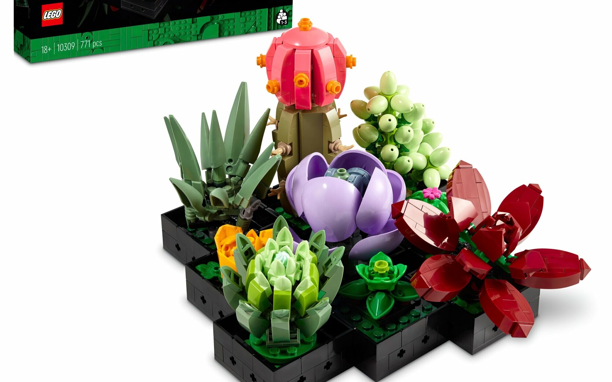 Świetny zestaw LEGO Botanical Collection - Sukulenty (8 kwiatów) za 169 zł (rabat 30 zł)