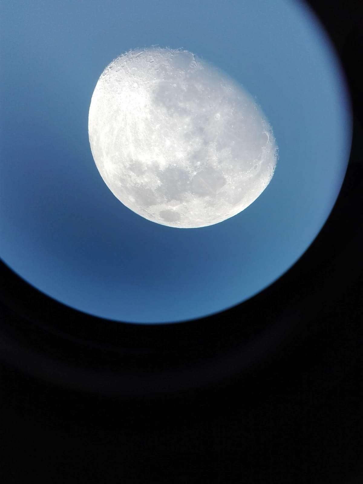 Do or Die Wrestling już 14 stycznia