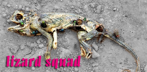 Lizard Squad sprzedaje swoje narzędzie do ataków DDoS