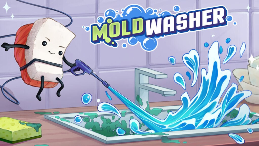 Moldwasher