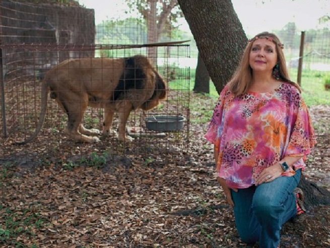 Król Tygrysów 2 (2021) - recenzja serialu dokumentalnego [Netflix]. Joe Exotic powrócił!