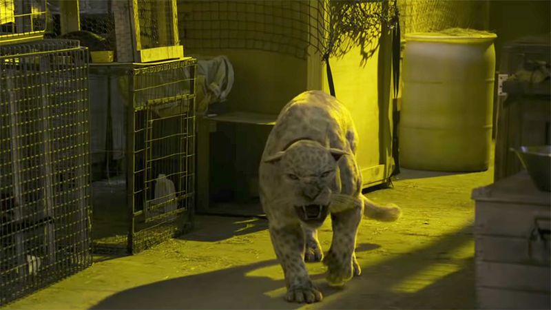 Instynkt pierwotny (2019) - recenzja filmu [Amazon]. To ten który każe nam uciekać przed zagrożeniem...