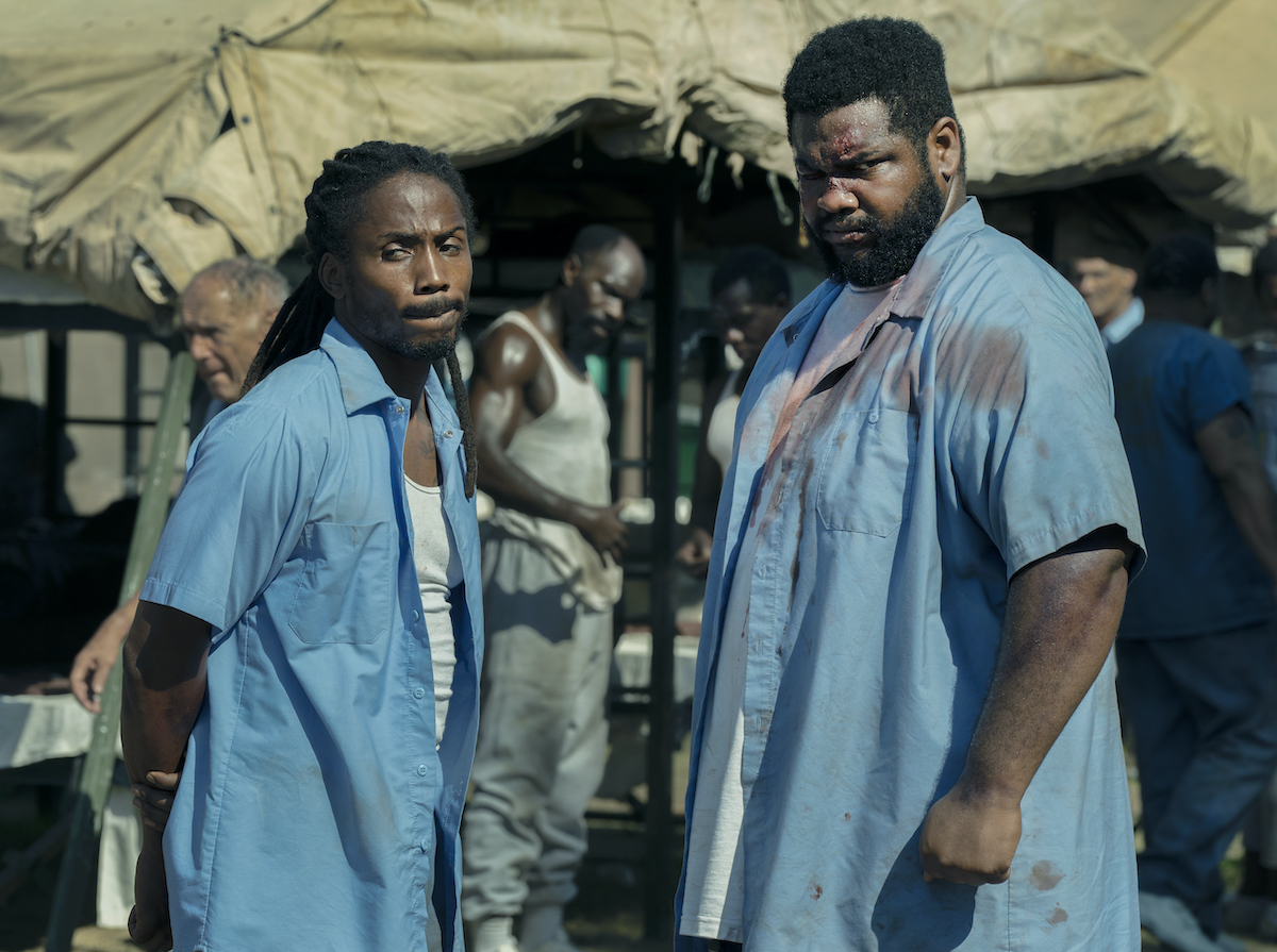 Burmistrz Kingstown (2022) – recenzja 2. sezonu serialu [SkyShowtime]. Bunny i jego ziomek