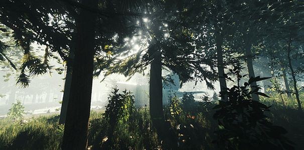 PS4 zabierze cię na przerażającą wycieczkę do lasu dzięki The Forest