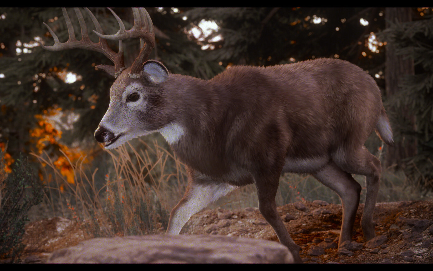 Najciekawsza gra o łowiectwie staje się jeszcze konkretniejsza. Oto Hunting Simulator 3