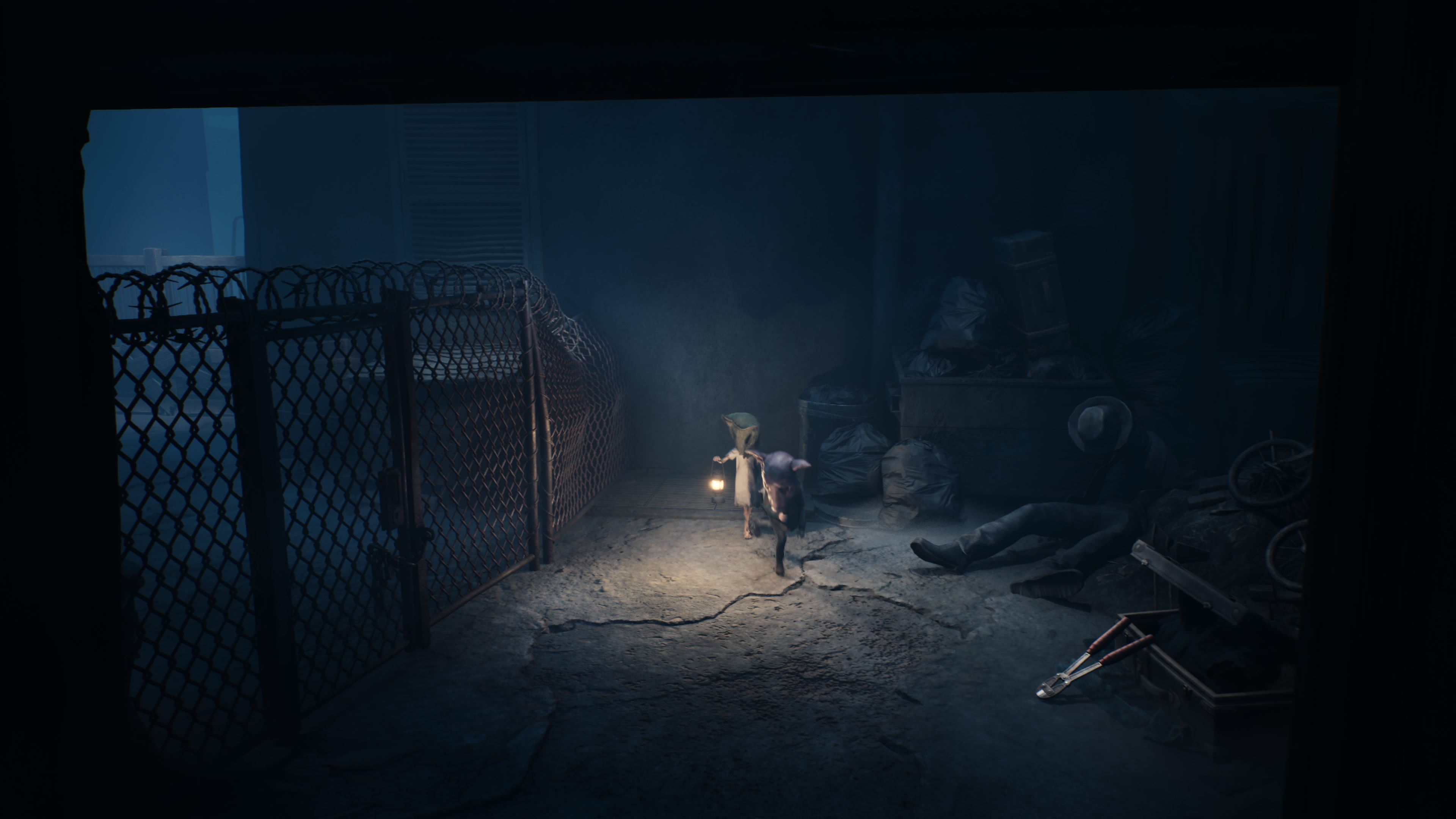 Reanimal - Akt 1: Dom oczyszczenia, opis przejścia, znajdźki