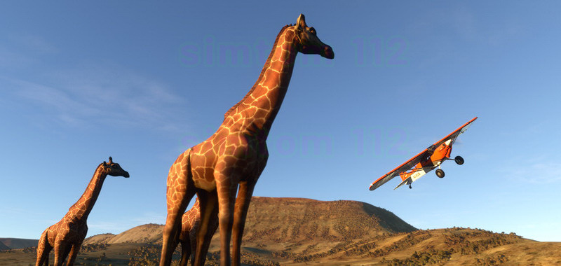 Microsoft Flight Simulator na nowych screenach. Panorama Aten i dzikie zwierzęta robią wrażenie