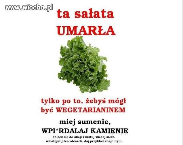 Uratuj sałatę...miej sumienie wpie**laj kamienie