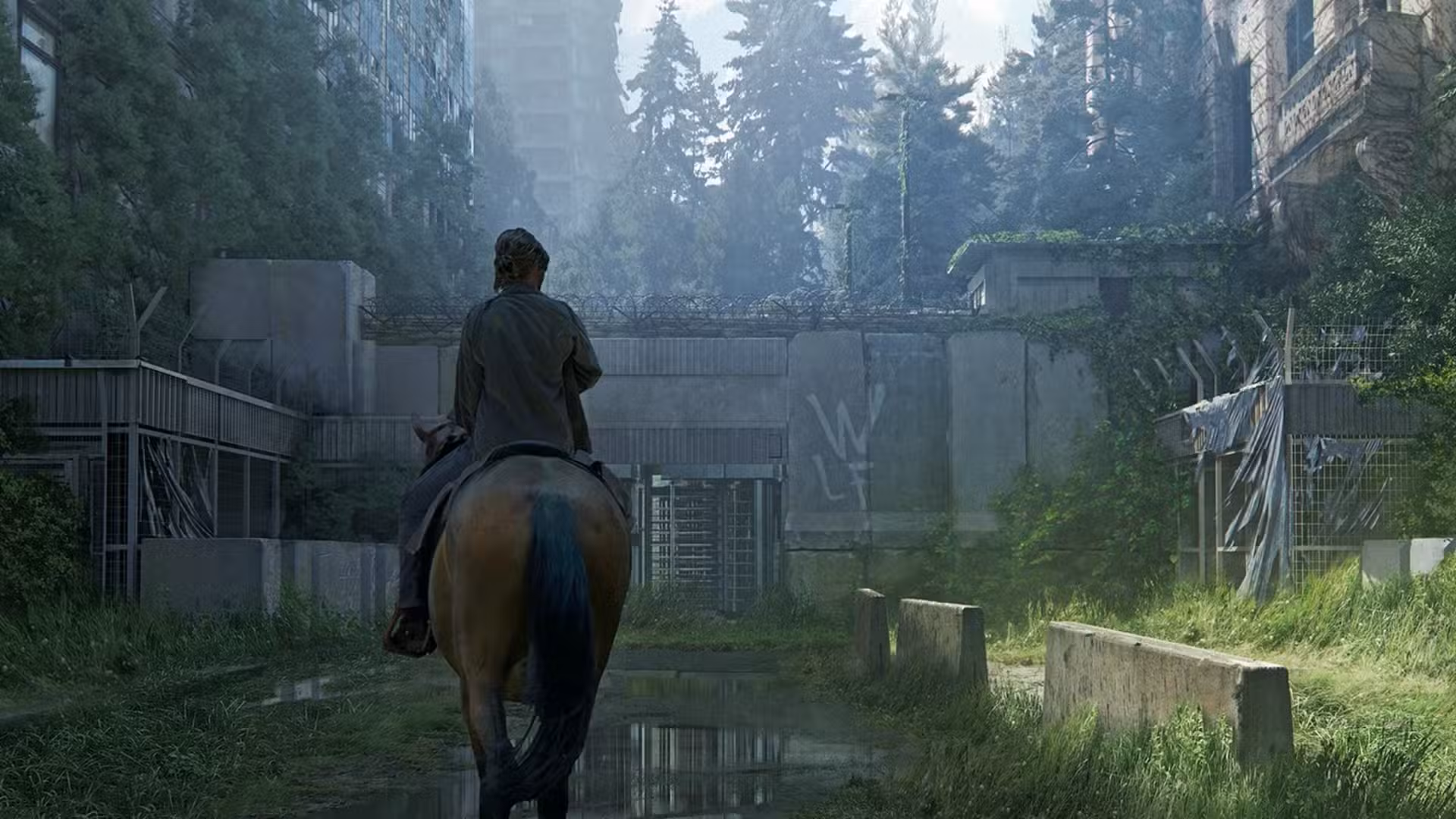 The Last of Us Powerlines #2