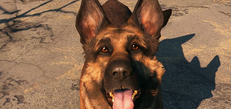 Fallout 4 - owczarek niemiecki, który &quot;pomógł&quot; przy tworzeniu Fallout 4, nie żyje
