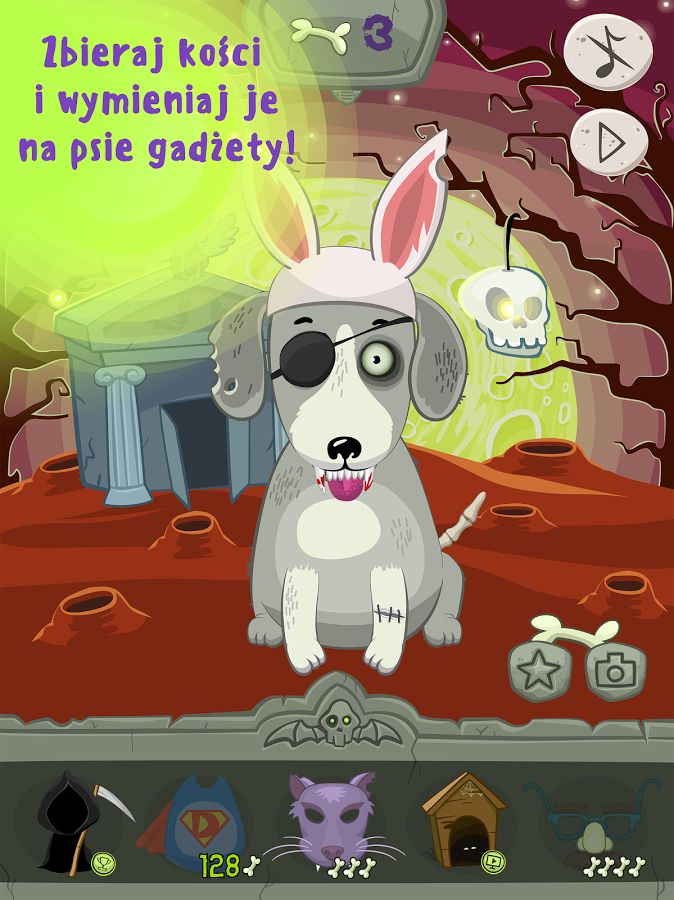Meet a Dead Dog