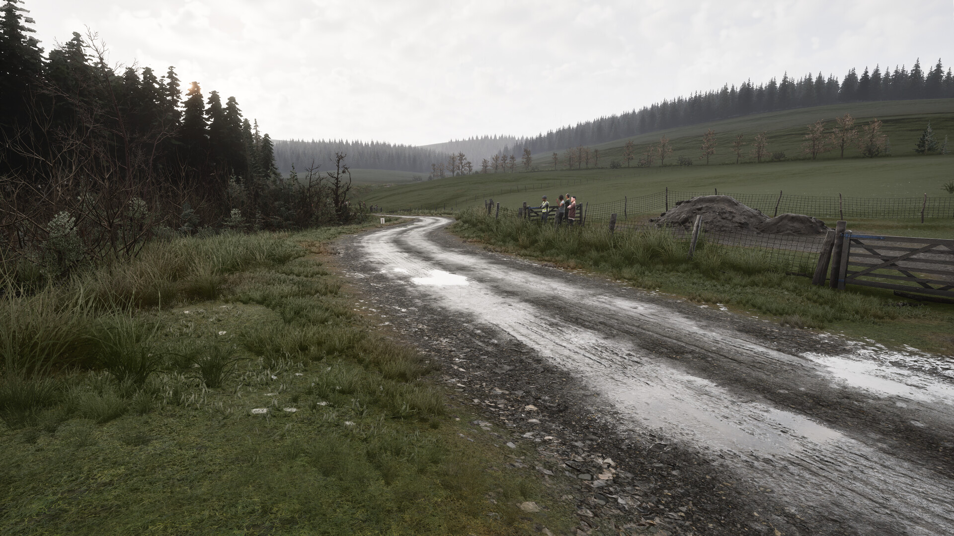 Assetto Corsa Rally #9