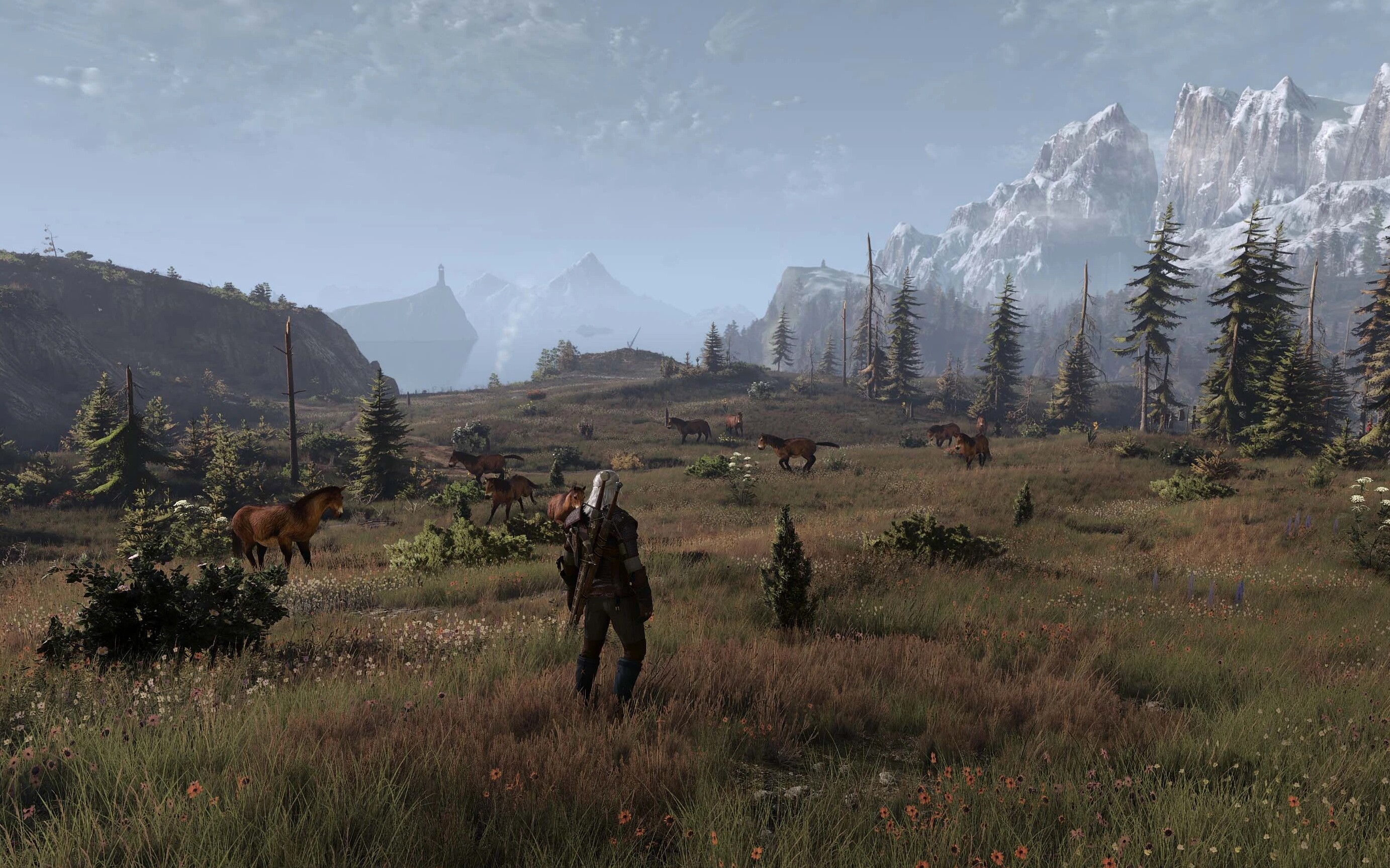 Z tym modem zwiedzanie Velen, Skellige i Toussaint wciska w fotel. Przepiękna roślinność w Wiedźminie 3