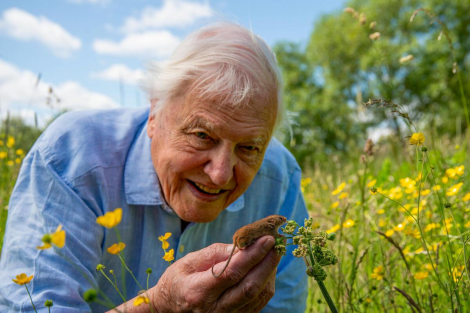 David Attenborough