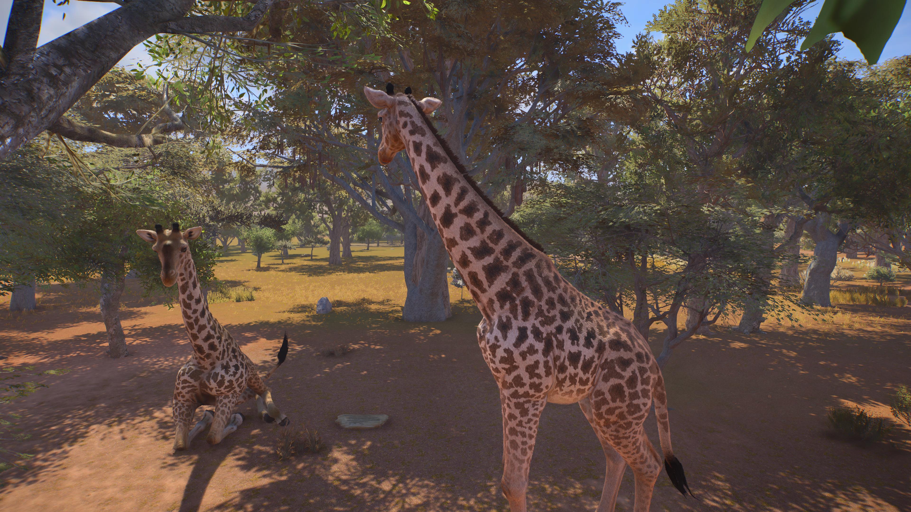 recenzja Planet Zoo 2