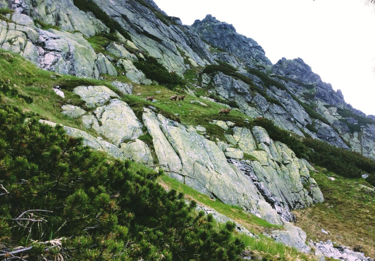 Resident Evil: Revelations - nowe screeny