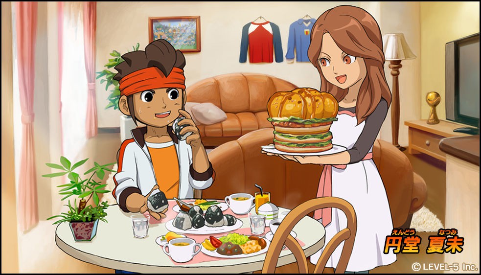 Inazuma Eleven Go w drodze na 3DS-a