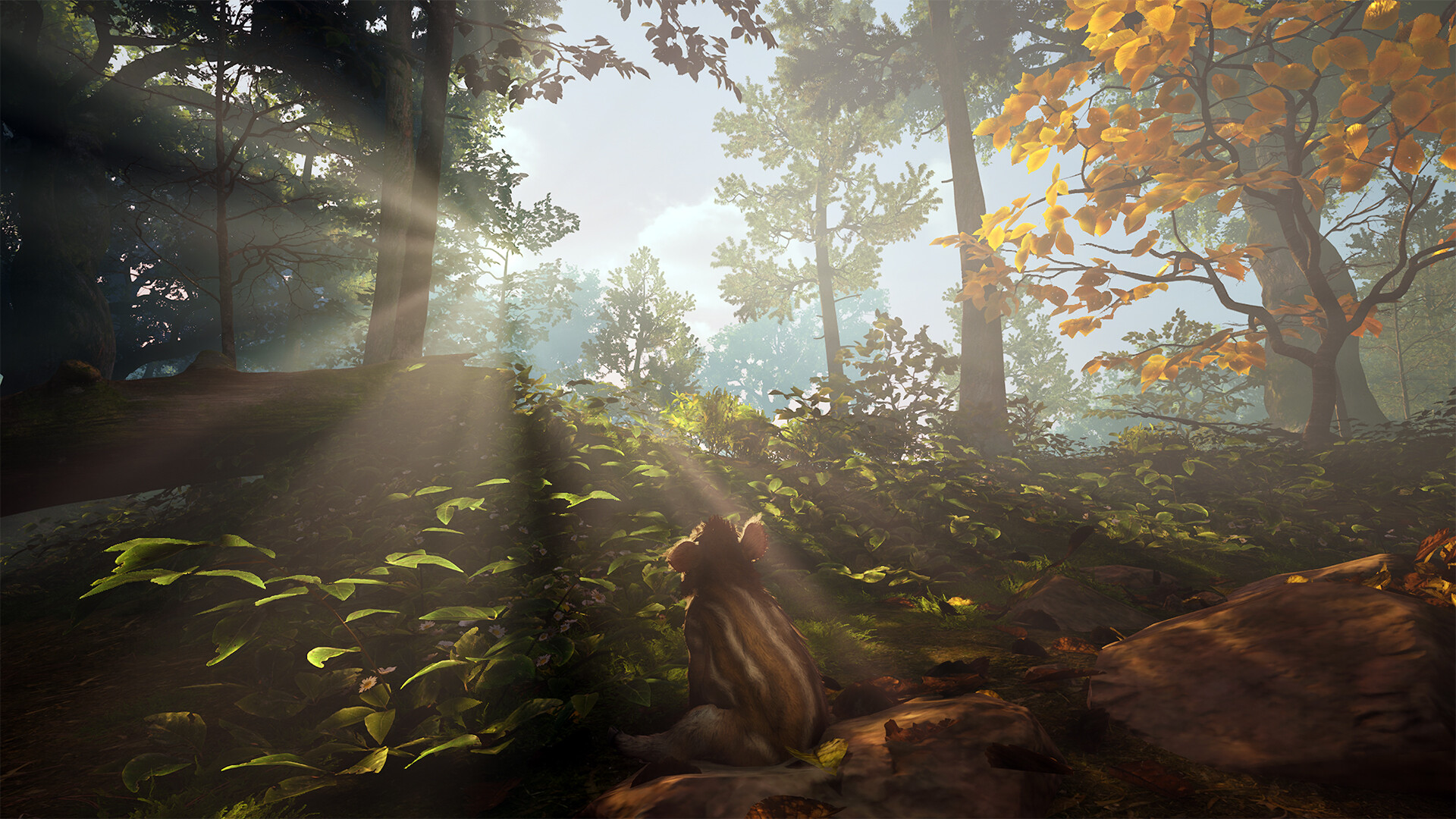 Adorable Adventures #3