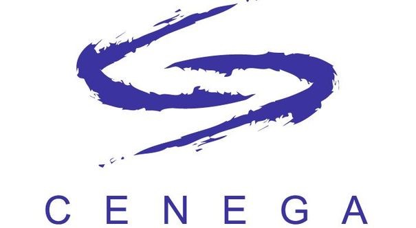 Cenega wyprzedaje gry