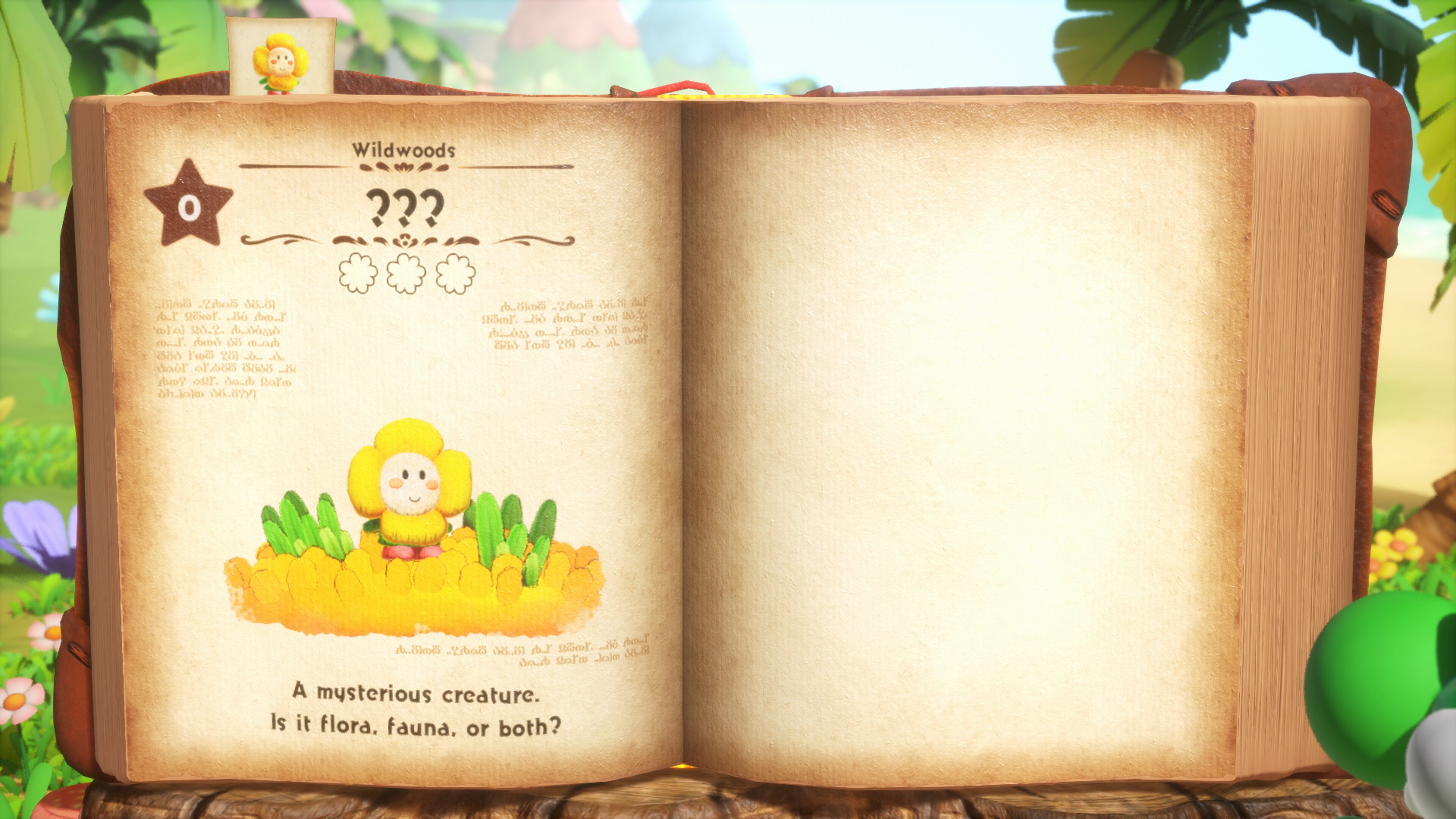 Yoshi and the Mysterious Book #3
