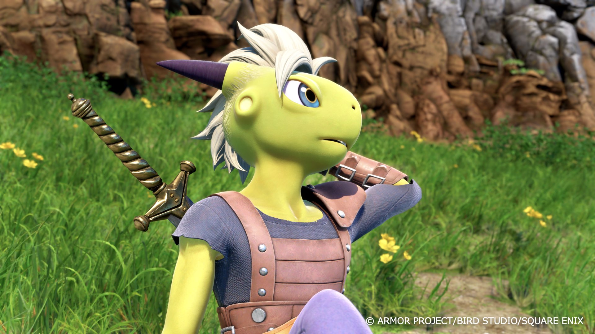 Dragon Quest XII: Beyond Dreams #2