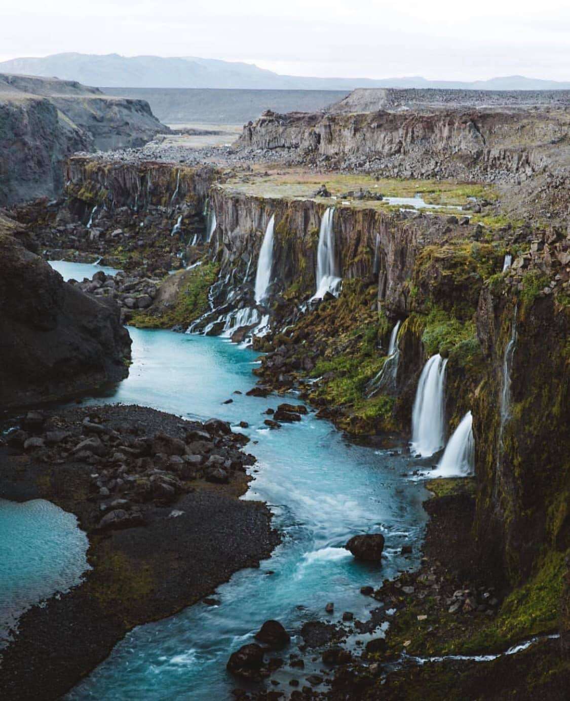 Sumioni przypomina Meatboya