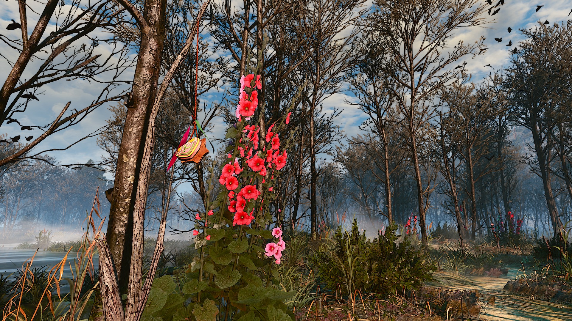 user-56194 blog gallery image