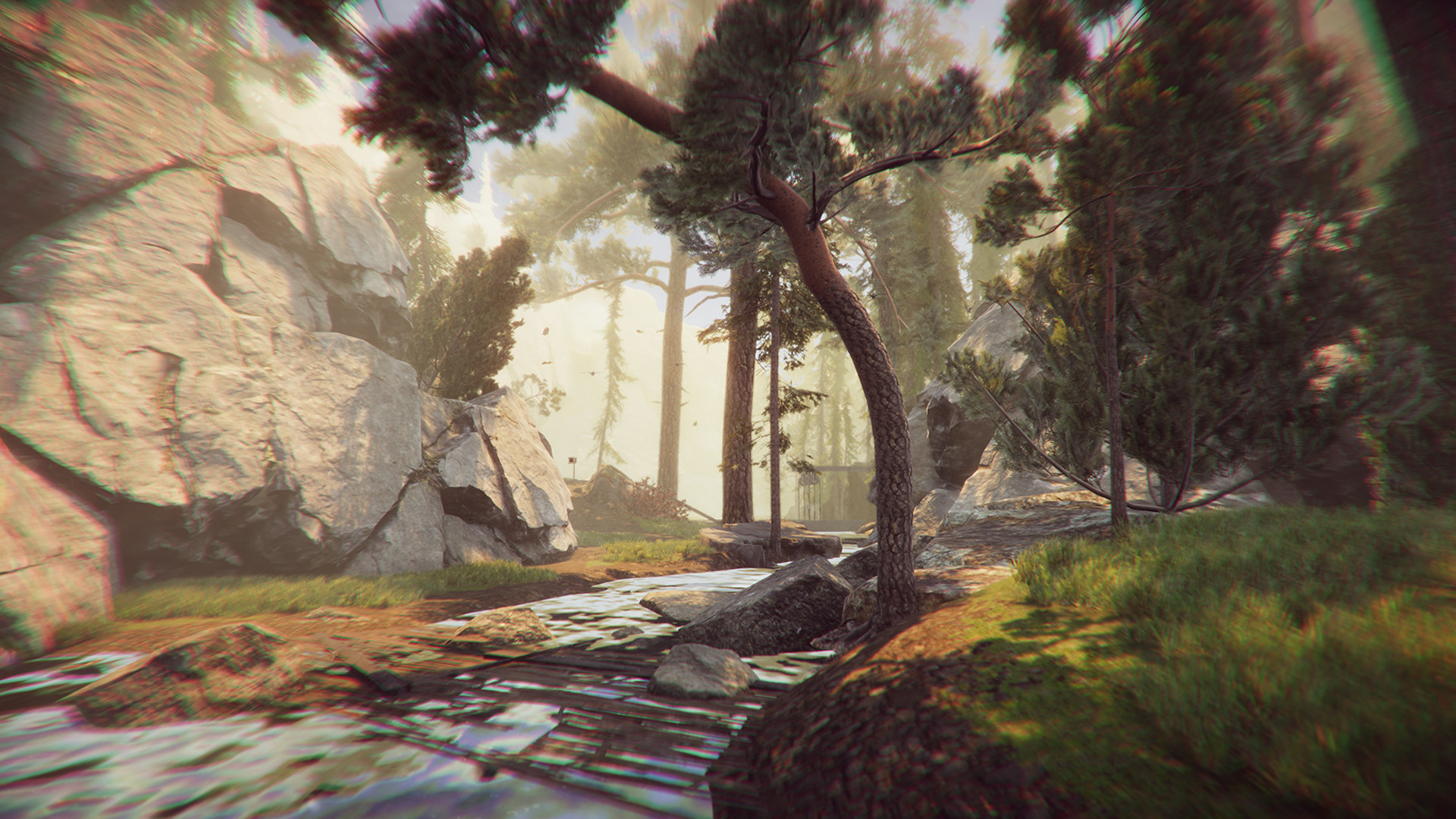 The Forest Cathedral #3