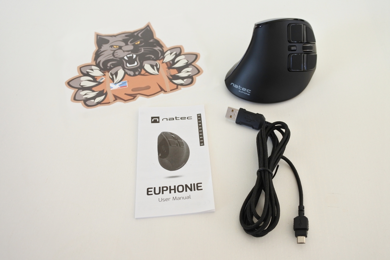 Angielski trailer gry twórców Guardian Heroes