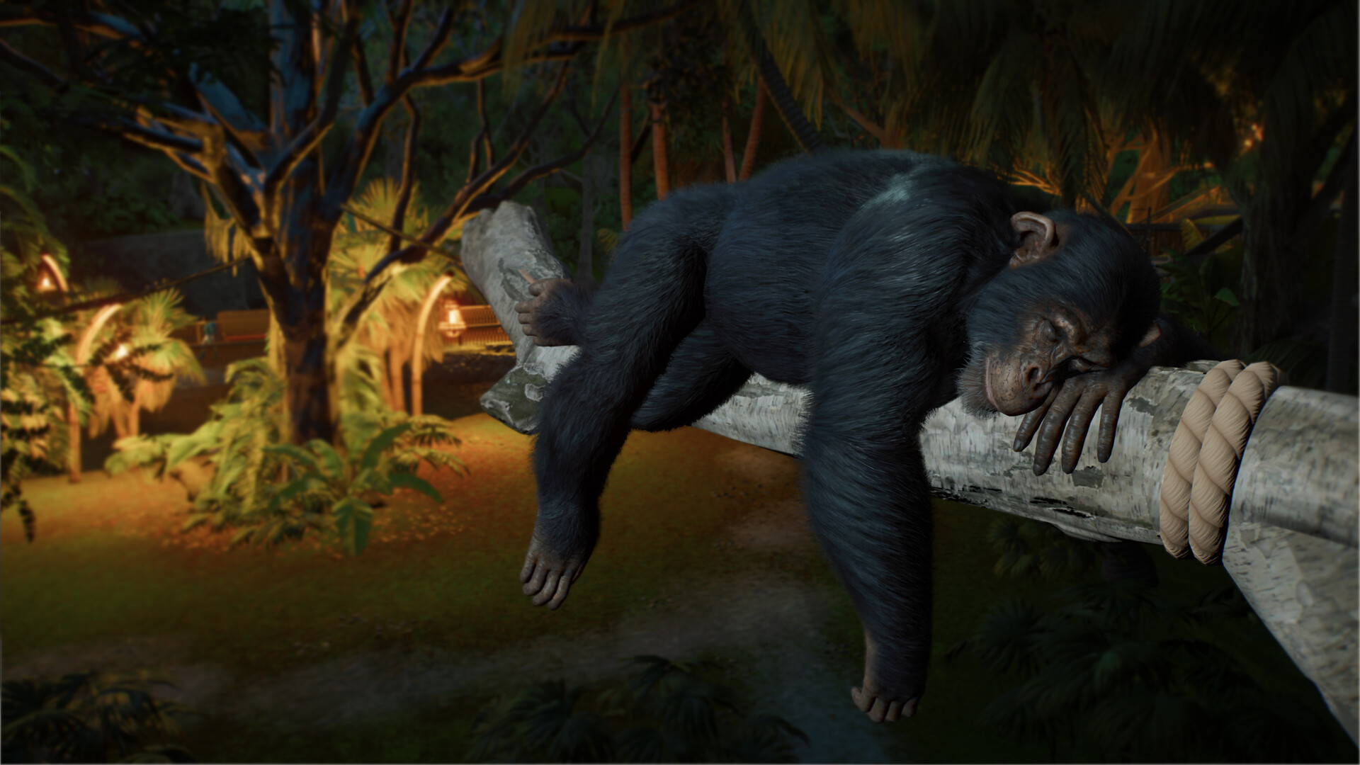 Planet Zoo 2 #1