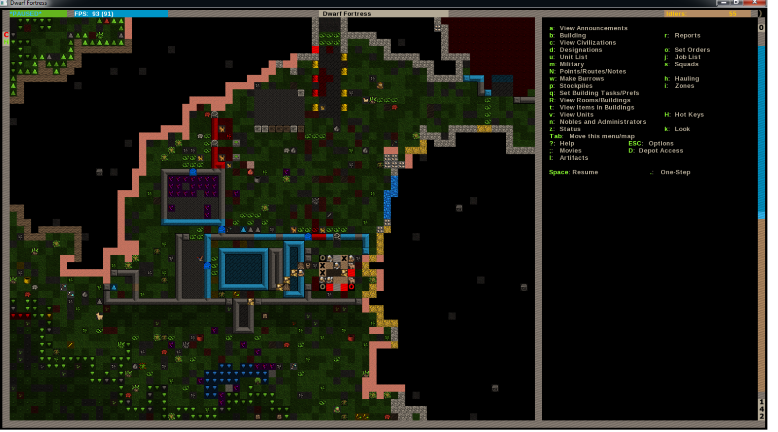Dwarf Fortress