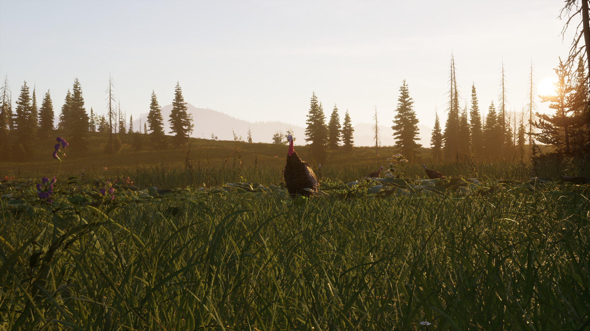 Next Hunting Adventure #1