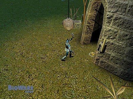 Neverwinter Nights