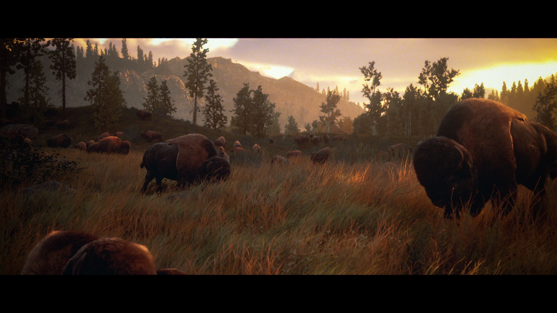 Hunting Simulator 3 #3