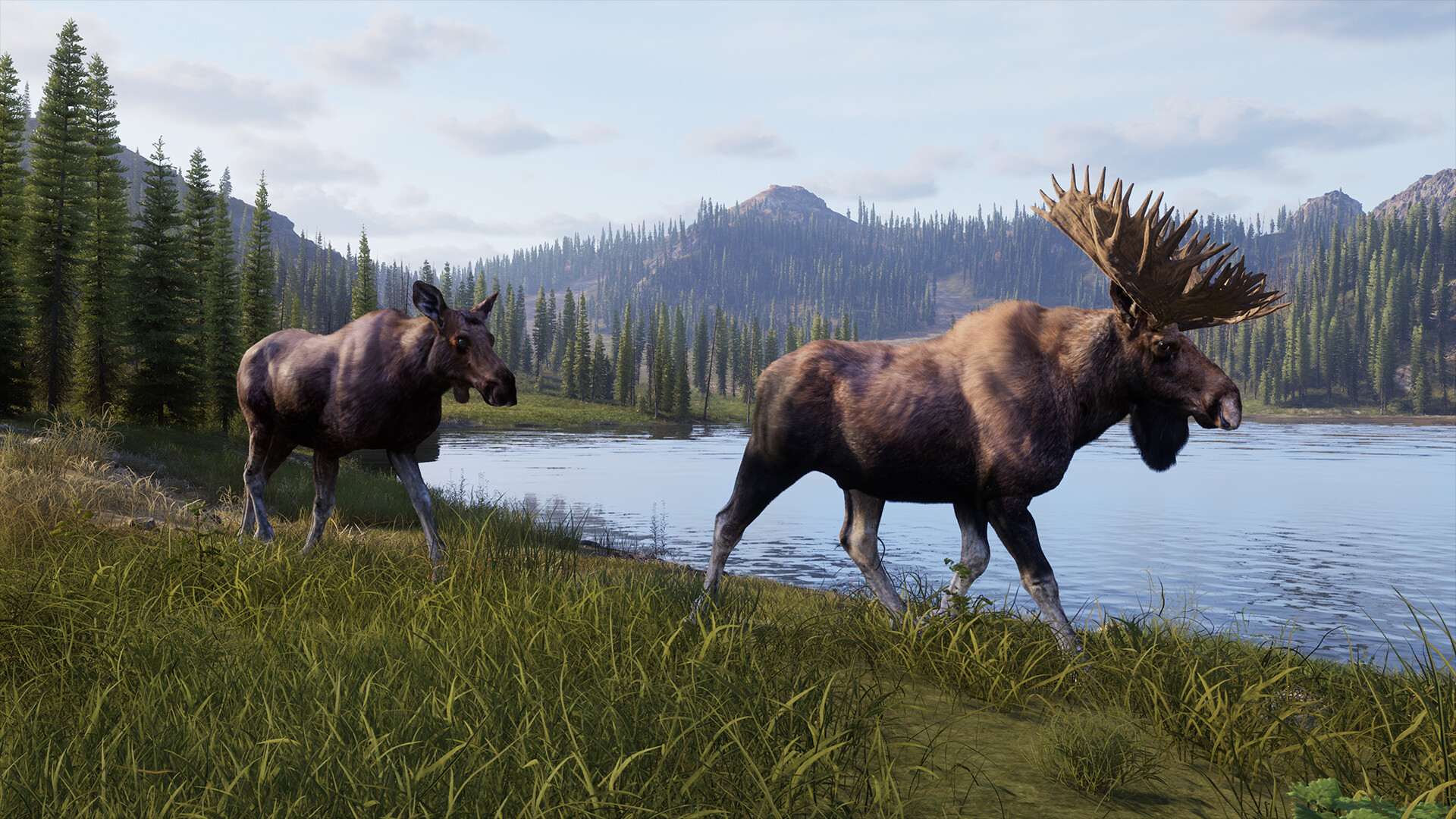 Way of the Hunter 2 #6