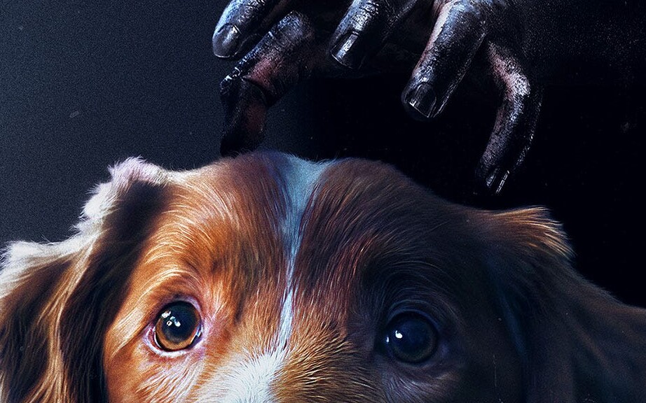 Good boy (2025) - recenzja filmu [Monolith]. Taki dobry pies!