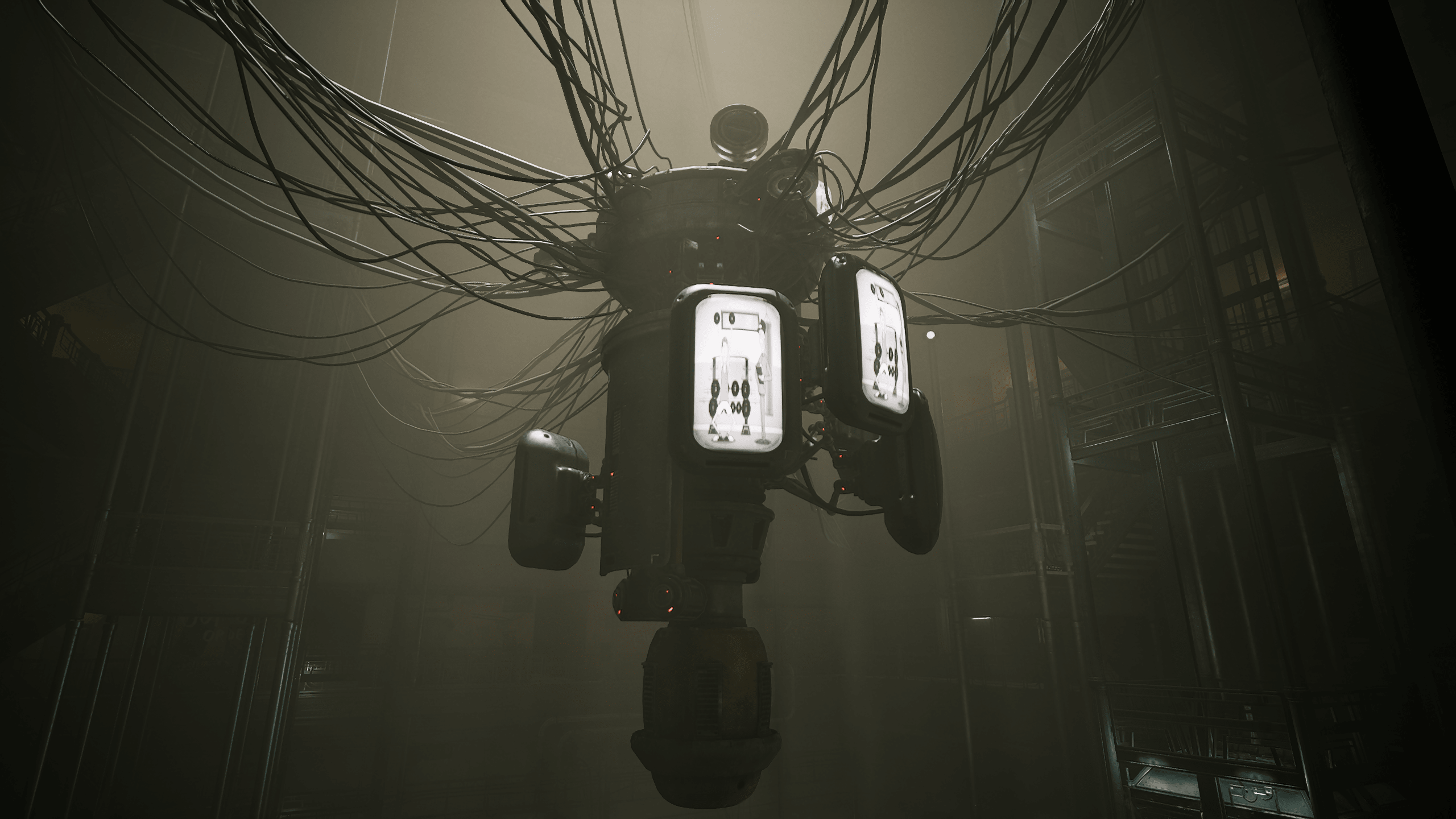 user-2100107 blog gallery image