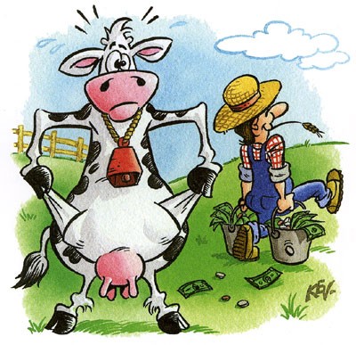 George A. Romero&#039;s - App of the Dead