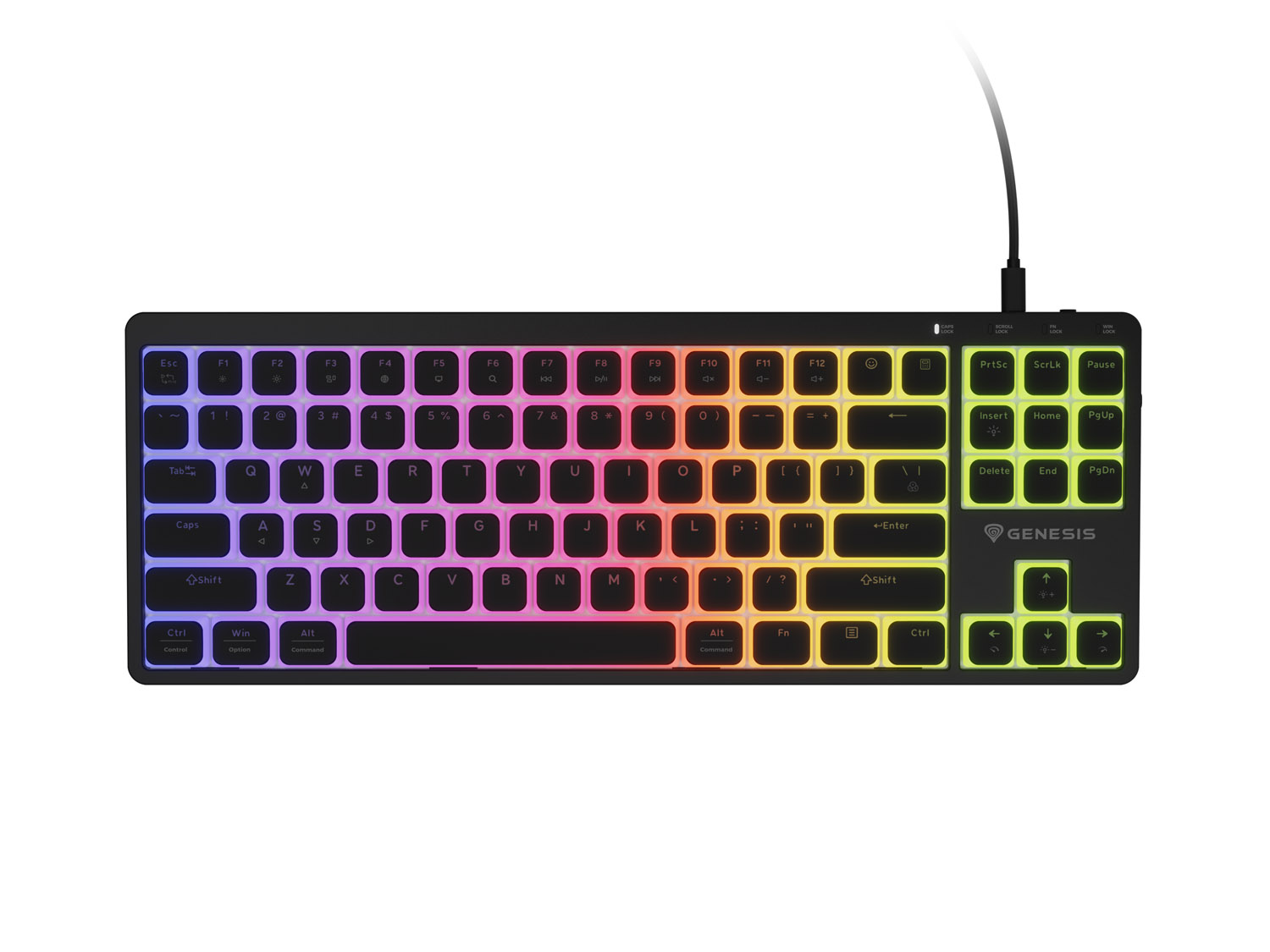 Thor 430 TKL #2