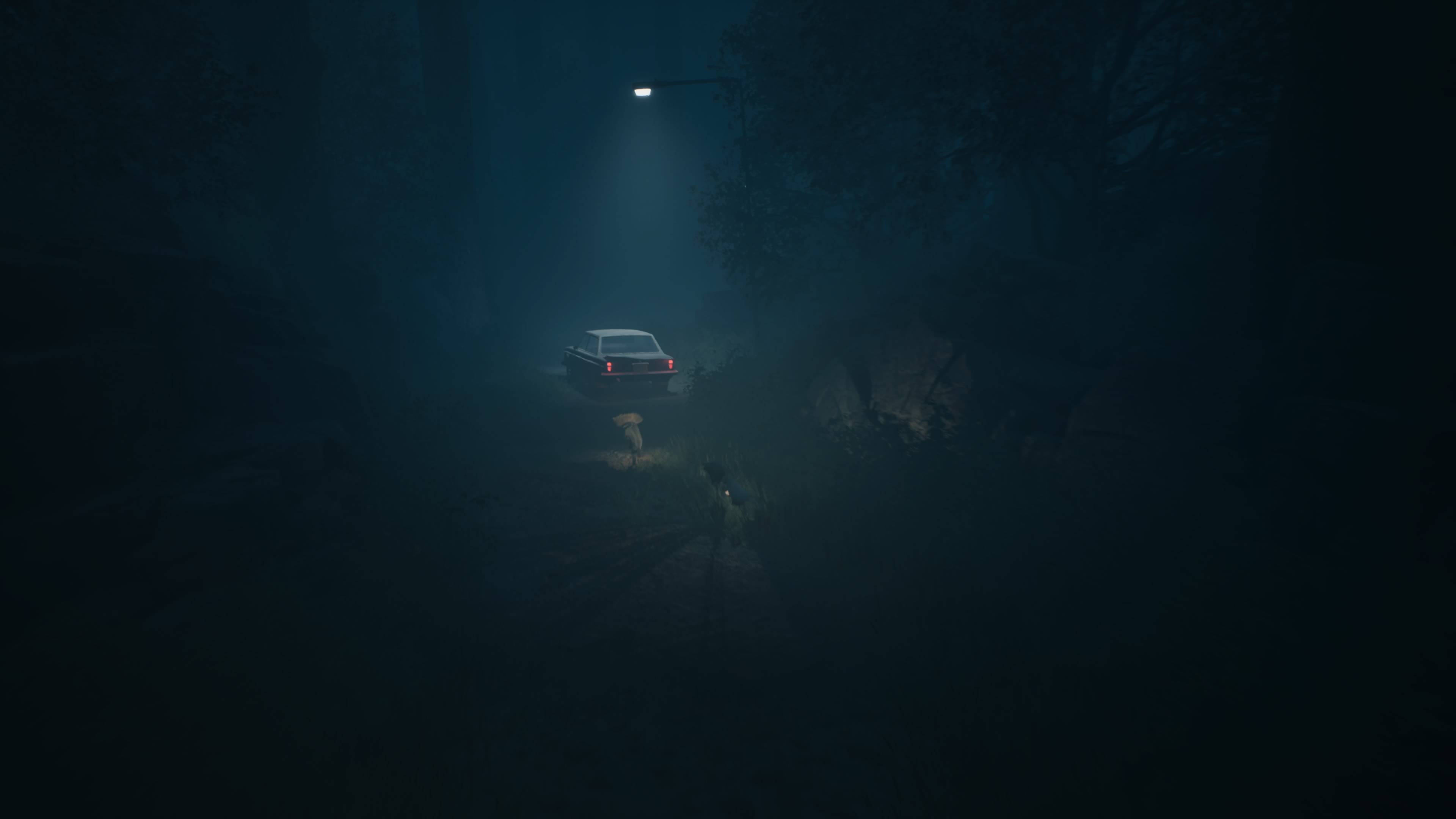 Reanimal - Akt 1: Dom oczyszczenia, opis przejścia, znajdźki