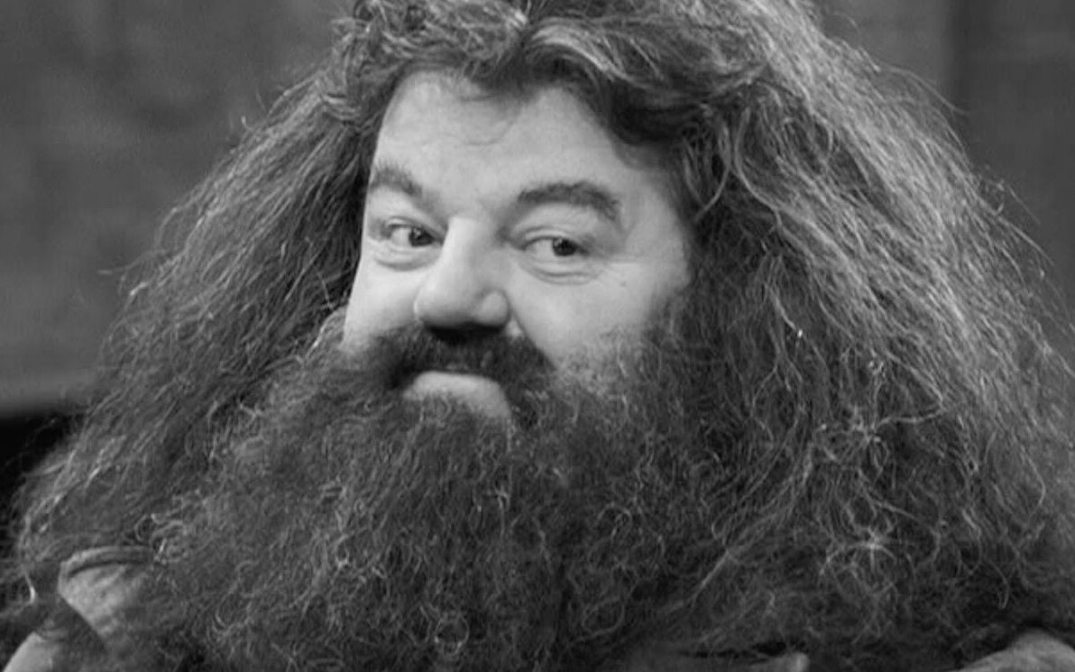 Hagrid