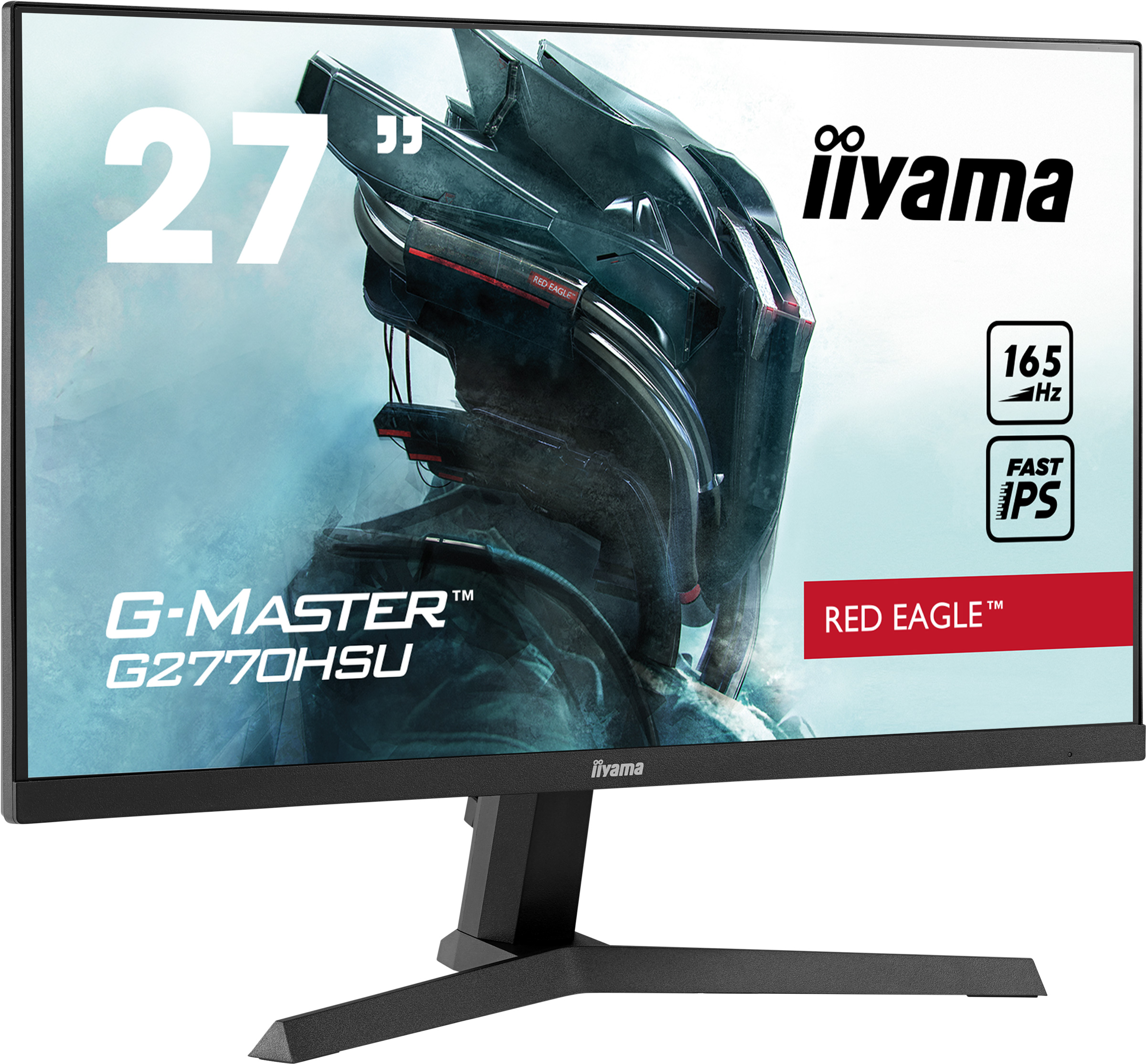 iiyama_1